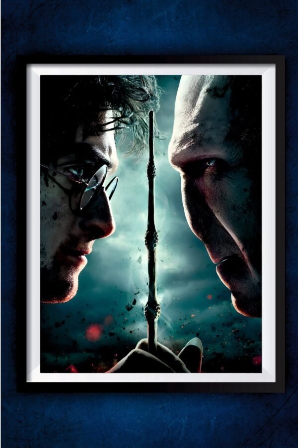 Harry Vs Voldemort Poster