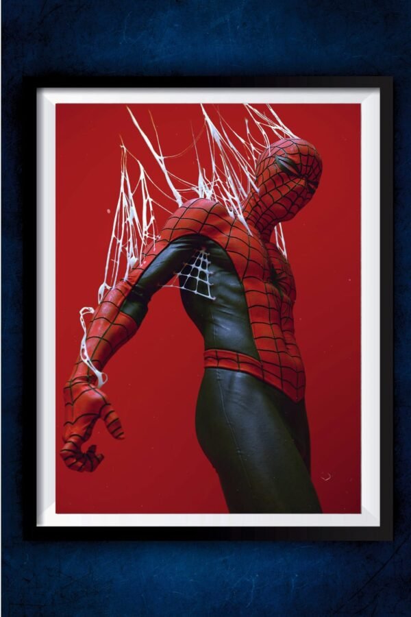 The Amazing Spiderman Poster