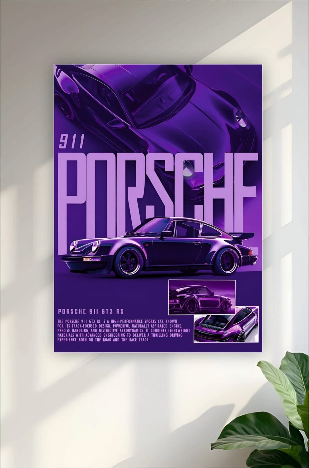 Porsche 911 Poster #3